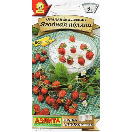 Земляника Ягодная поляна Аэлита Ц
