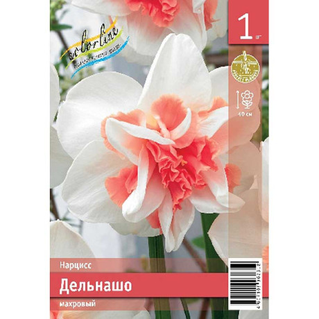 Нарцисс Дельнашо 12/14 1 шт