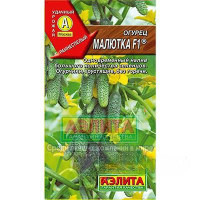 Огурец Малютка Аэлита Ц