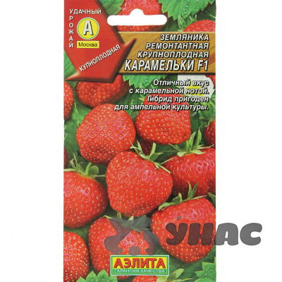 Земляника Карамельки Аэлита Ц