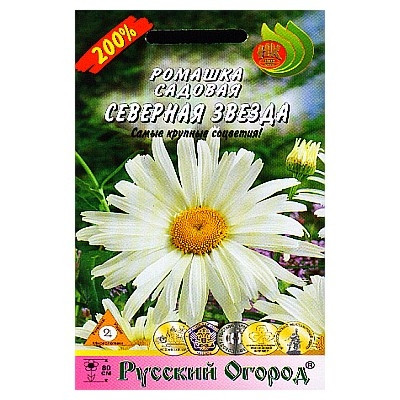 Ромашка Северная звезда садовая НК Ц