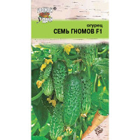 Огурец Семь гномов Урожай у дачи Ц