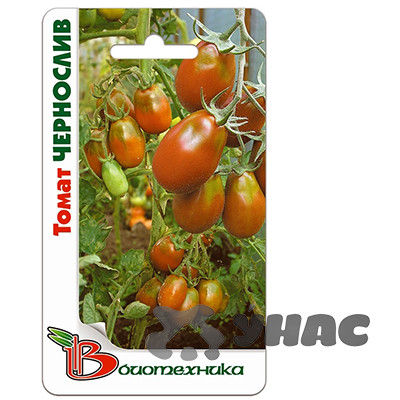 Семена Томат Чернослив БиоТехника