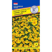 Бархатцы Джем Лимонные Престиж Ц
