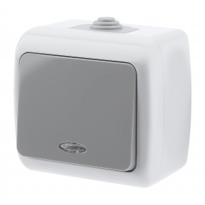 ЭРА Intro Atlantic выкл. ОУ 1 кл. серый (инд.) 10А (корп. PC) IP54 5-102-03 9458