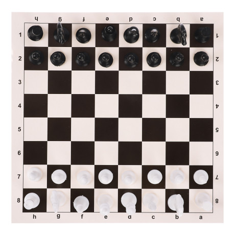 Шахматы в пакете "Бум Цена"