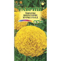 Бархатцы Бурке Гольд Гавриш Ц