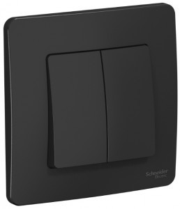 Systeme Electric BLANCA выкл. СУ 2 кл. 10А антрацит (пл.осн.) BLNVS010506 (10!)