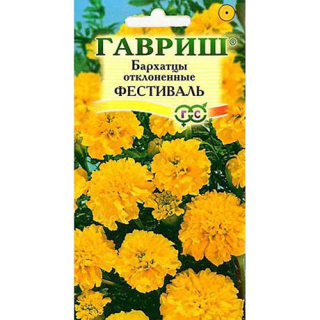 Бархатцы Фестиваль откл. Гавриш  Ц