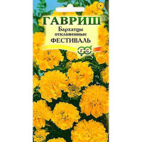 Бархатцы Фестиваль откл. Гавриш  Ц
