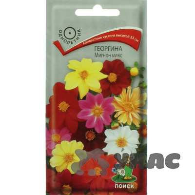 Георгин Мигнон микс Поиск Ц