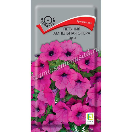 Петуния Опера Парпл Поиск Ц