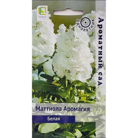 Маттиола Аромагия Белая Поиск Ц