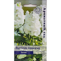 Маттиола Аромагия Белая Поиск Ц
