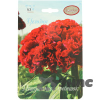 К Целозия Петушиный гребешок Каприс