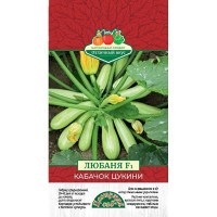 Кабачок Любаня ЦветСад Ц