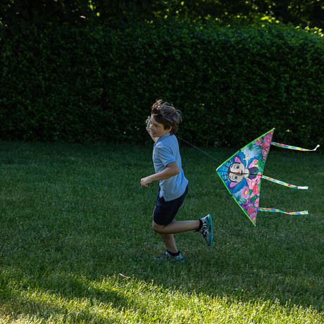 SILAPRO Воздушный змей "Животные" 80см, нейлон