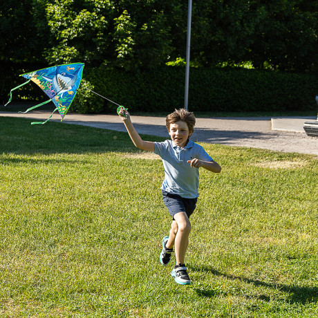 SILAPRO Воздушный змей "Животные" 80см, нейлон
