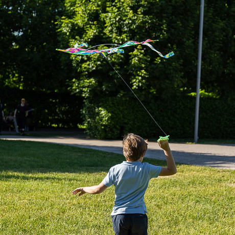 SILAPRO Воздушный змей "Животные" 80см, нейлон