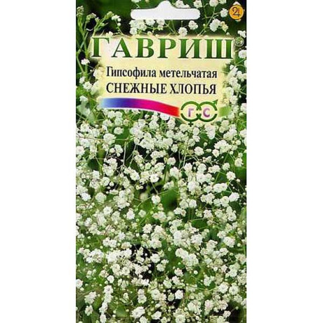 Гипсофила Снежные хлопья метельч. Гавриш Ц