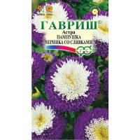 Астра Пампушка черника со сливками Гавриш Ц