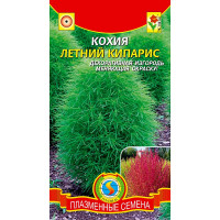 Кохия Летний Кипарис Плазма Ц