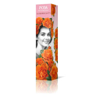 Роза флорибунда Памкин Патч Садовита