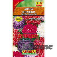 Астра Миледи смесь Аэлита Ц