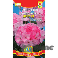 КОМ Пеларгония Ярка зональная Плазма Ц