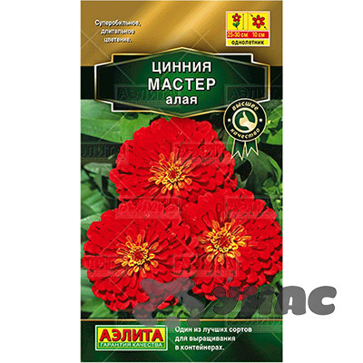 Циния Мастер алая Аэлита Ц