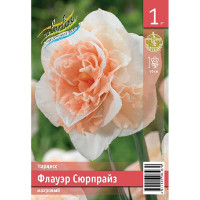 Нарцисс Флауэр Сюрпрайз 12/14 1 шт