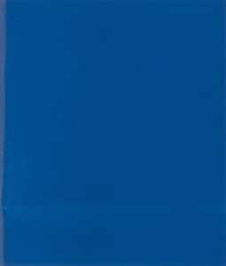 Тетрадь общая А5,48л,клет,скреп,обл.бумвинил,блок офсет-2 Синяя 916919