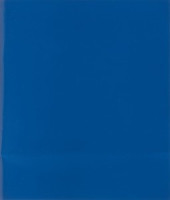 Тетрадь общая А5,48л,клет,скреп,обл.бумвинил,блок офсет-2 Синяя 916919