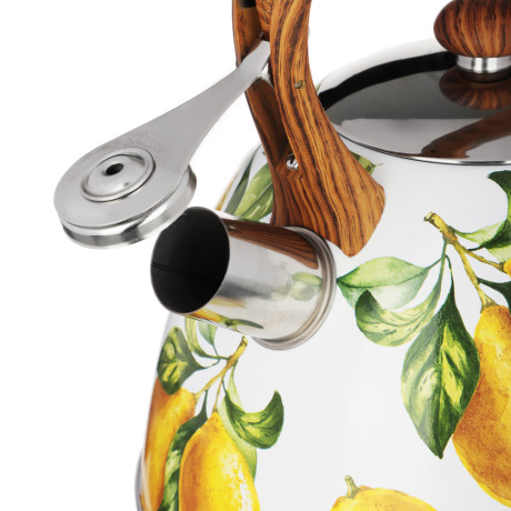 VETTA Чайник стальной 2,7л "Лимоны", индукция