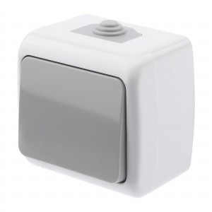 ЭРА Intro Atlantic выкл. ОУ 1 кл. серый 10А (корп. PC) IP54 5-101-03 9427