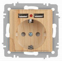 ЭРА Intro Accent мех. роз. СУ 1 мест. 16А 250В (земля, шторки + 2хUSB) сосна 6-410-11