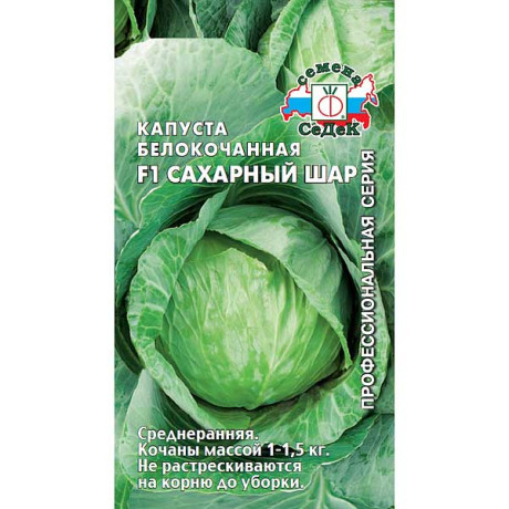 Капуста Сахарный шар  Седек Ц