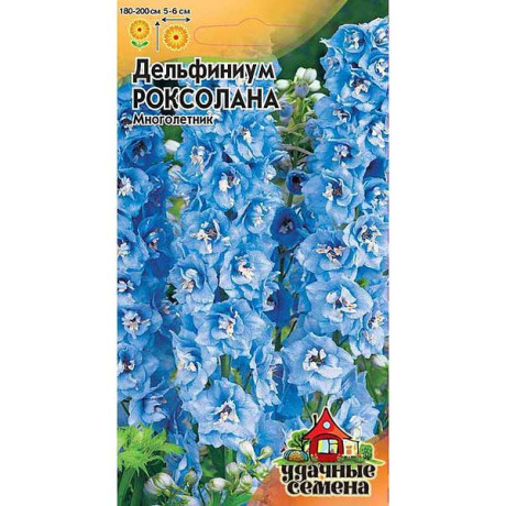 Дельфиниум Роксолана Удач сем Гавриш Ц