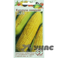 Кукуруза Заря Гавриш Ц