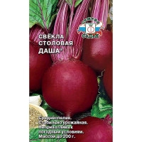 Свекла Даша Седек Ц