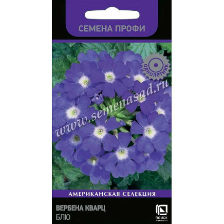 Вербена Кварц Блю Поиск Ц