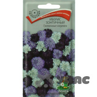 Иберис Ежевичные Меренги Поиск Ц