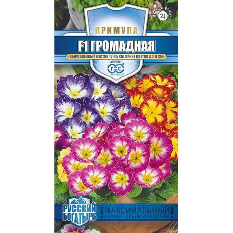 Примула Громадная смесь Гавриш Ц