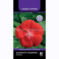 Семена Катарантус Пацифика Оранж Поиск Цх10