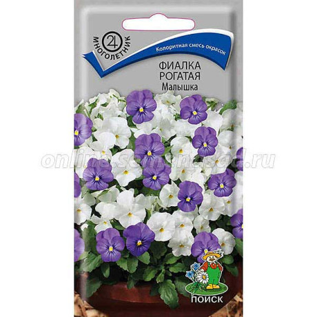 Фиалка Малышка Поиск Ц