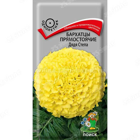 Бархатцы Дядя Стёпа прямост Поиск Ц