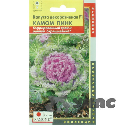 Капуста декоративная Камом Пинк Плазма Ц