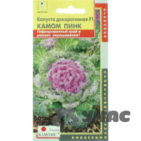 Капуста декоративная Камом Пинк Плазма Ц