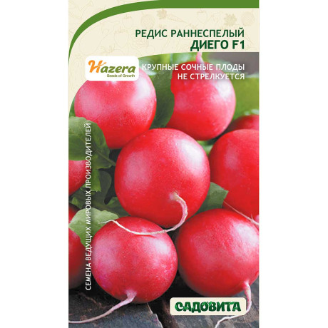 Редис Диего F1 1гр Hazera/Садовита Ц