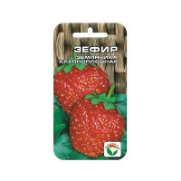 Клубника Зефир СибСад Ц